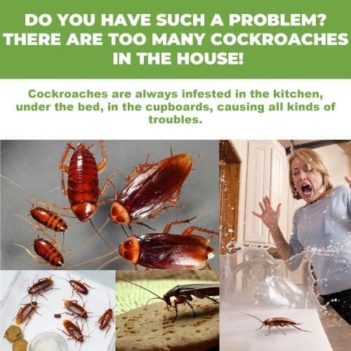 Cockroach Killer Powder Gel (Pack of 24pc)